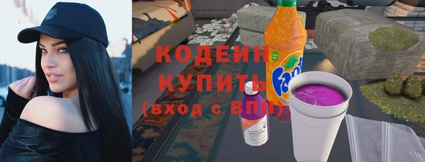 индика Дмитров