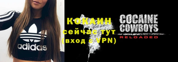 прущие грибы Белоозёрский