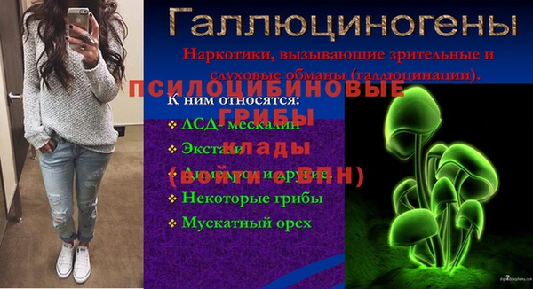 ешки Белокуриха
