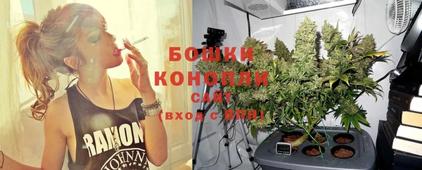 ешки Белокуриха