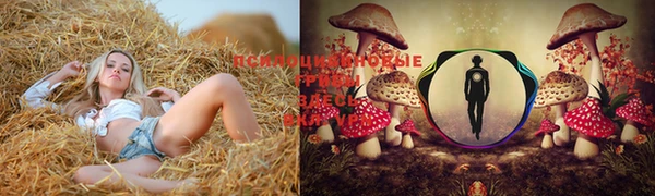 прущие грибы Белоозёрский