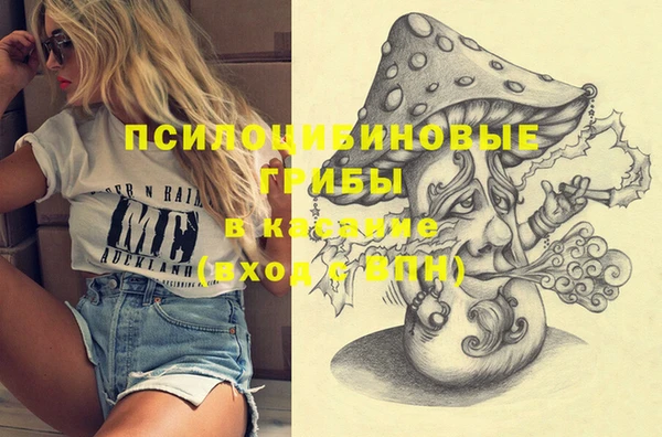 ешки Белокуриха