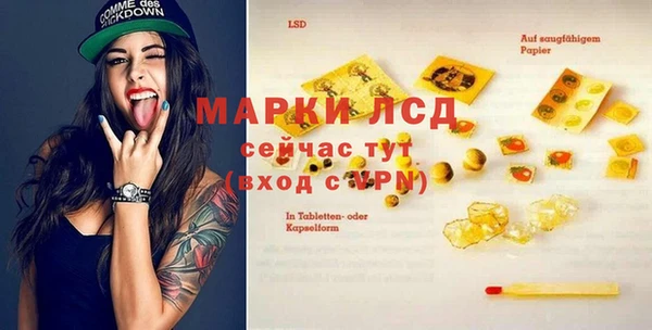 прущие грибы Белоозёрский