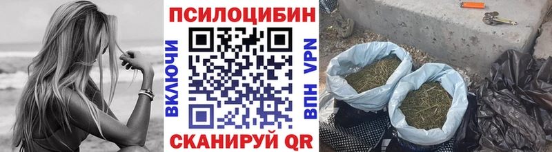 Галлюциногенные грибы прущие грибы  площадка клад  Воркута 